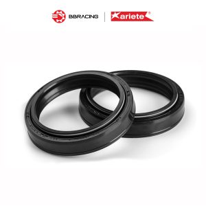 Ariete Oil Seal 45 x 58 x 11